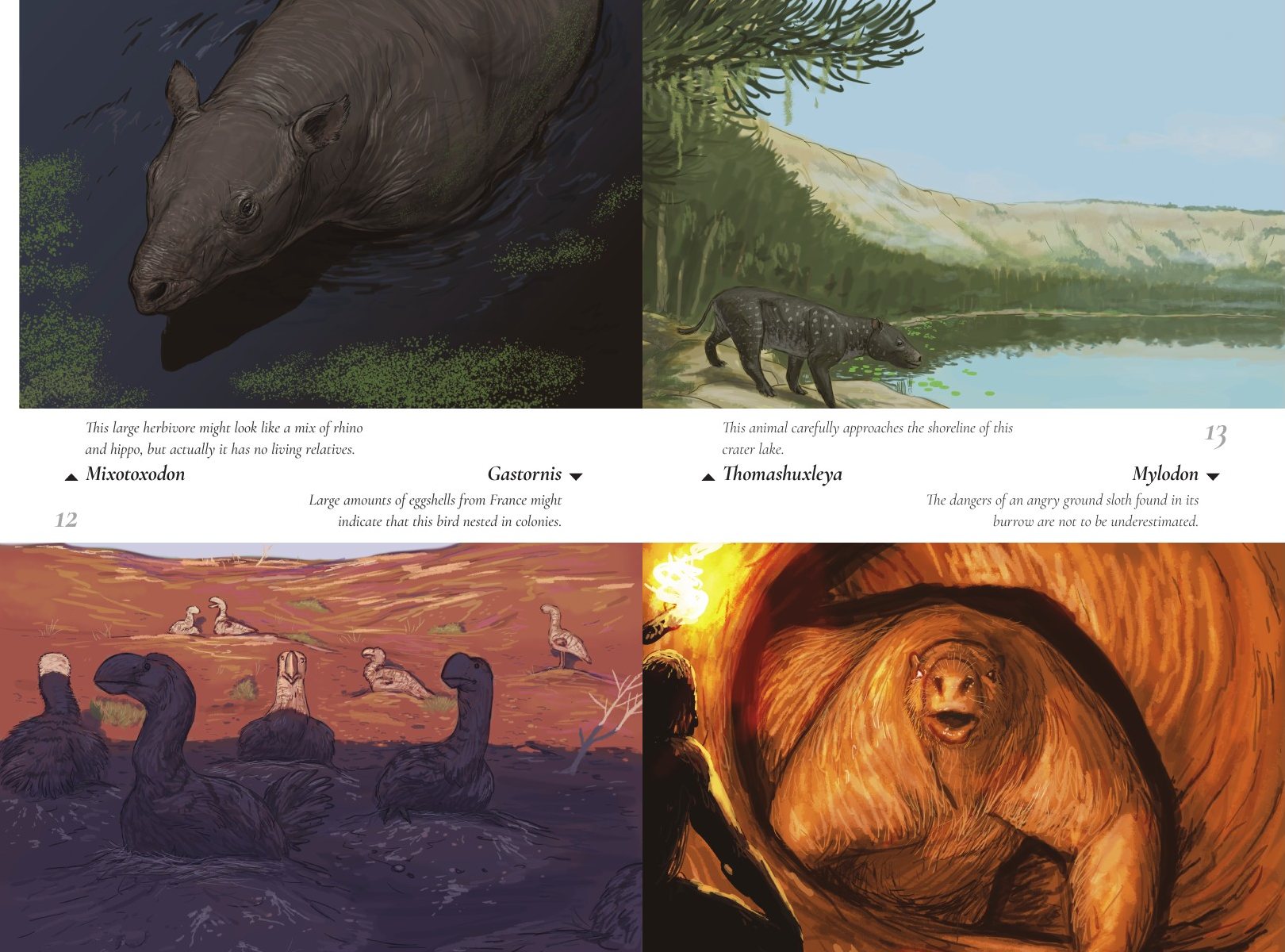 Sketch spread with Mixotoxodon, Gastornis, Thomashuxleya and Mylodon